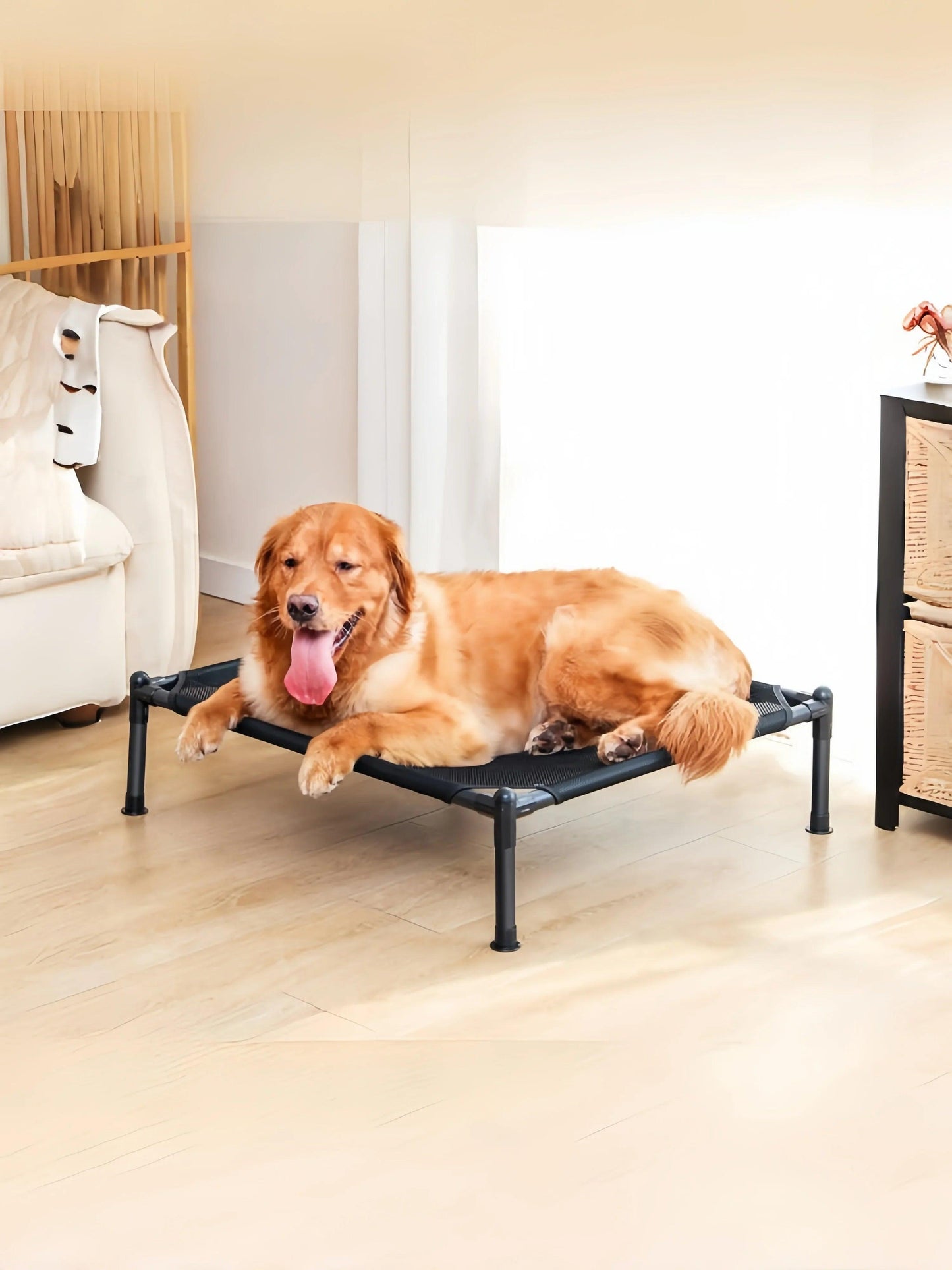 ComfyCamp Elevated Pet Bed - pawpallet