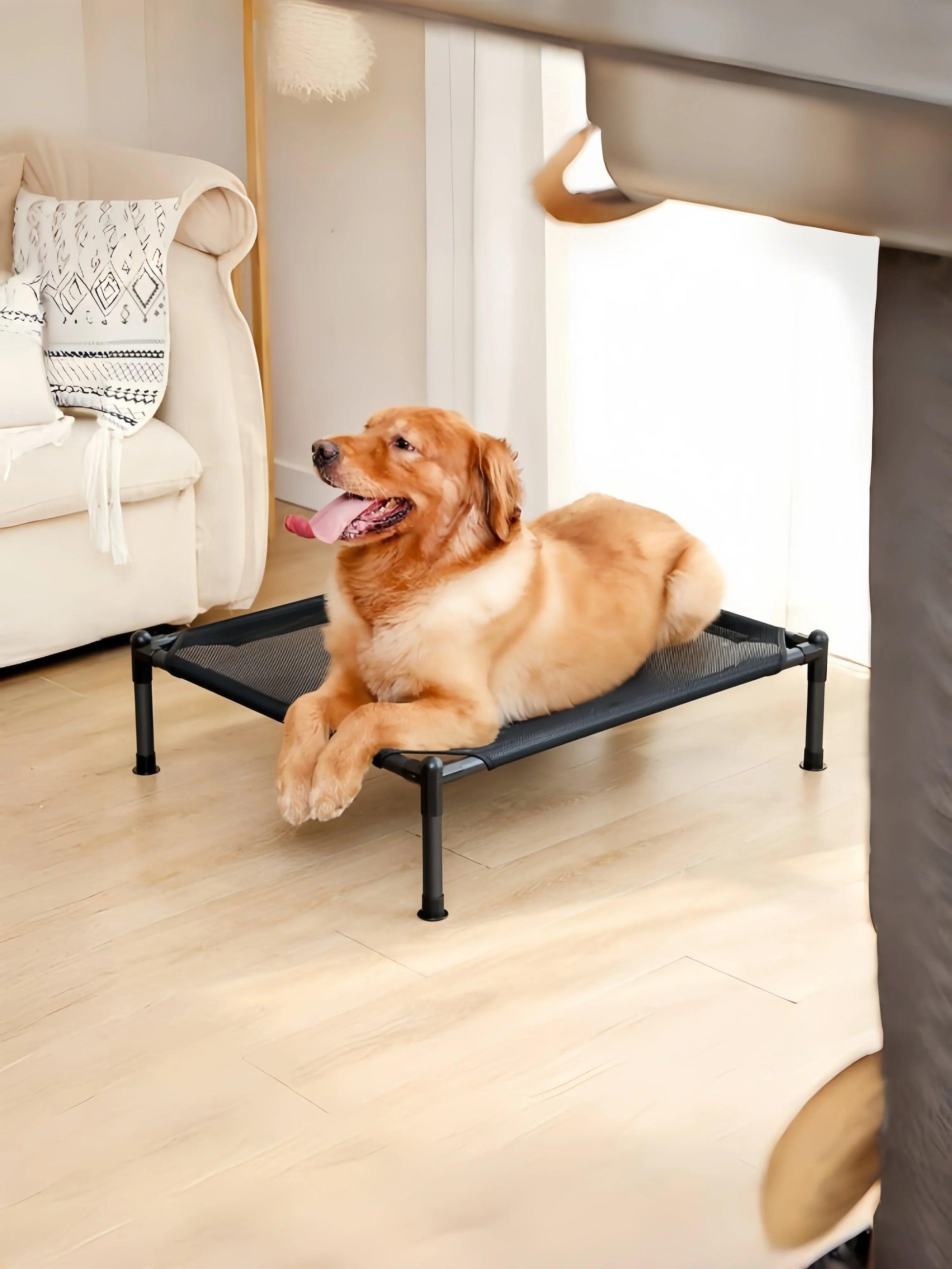 ComfyCamp Elevated Pet Bed - pawpallet