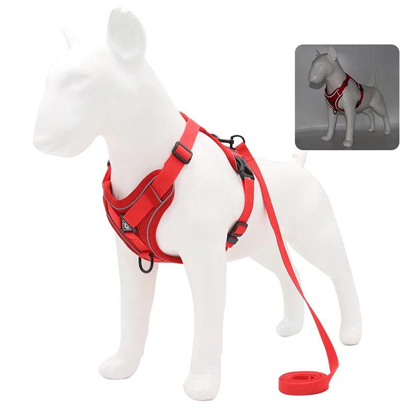 No-Pull Harness & Leash Set for Small Dogs - pawpallet