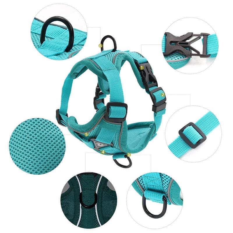 No-Pull Harness & Leash Set for Small Dogs - pawpallet