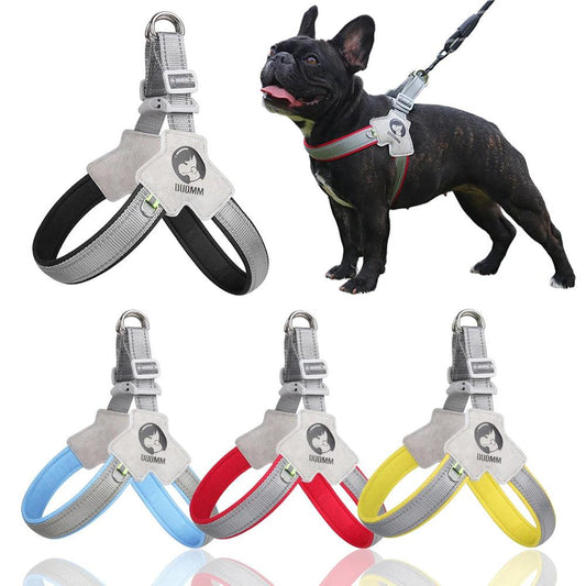 Adjustable Y-Shape Dog Harness with Seat Belt - pawpallet