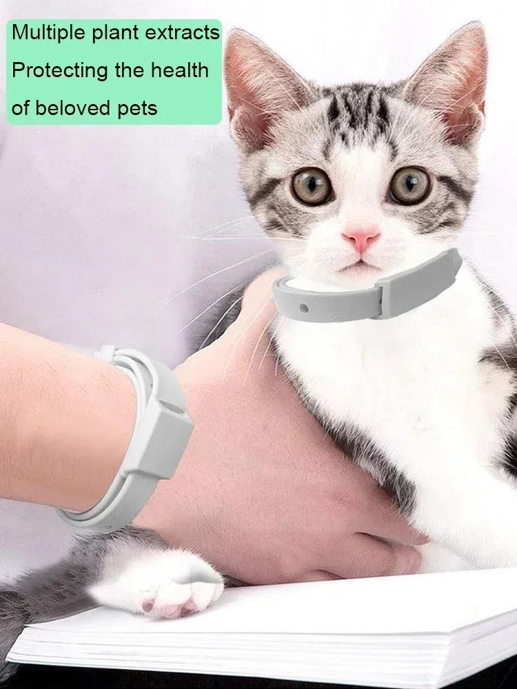 Pet Flea Collar - pawpallet