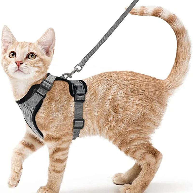 Cat Harness and Leash for Walking - pawpallet