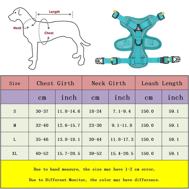 No-Pull Harness & Leash Set for Small Dogs - pawpallet