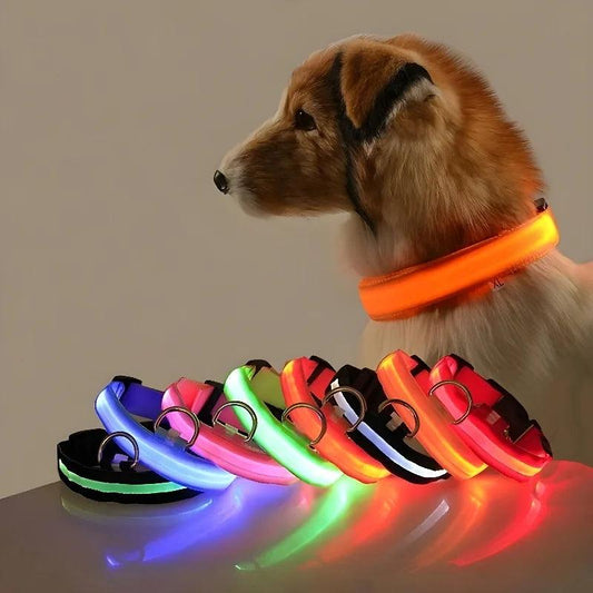 LED Glow-in-the-Dark Dog Collar - pawpallet