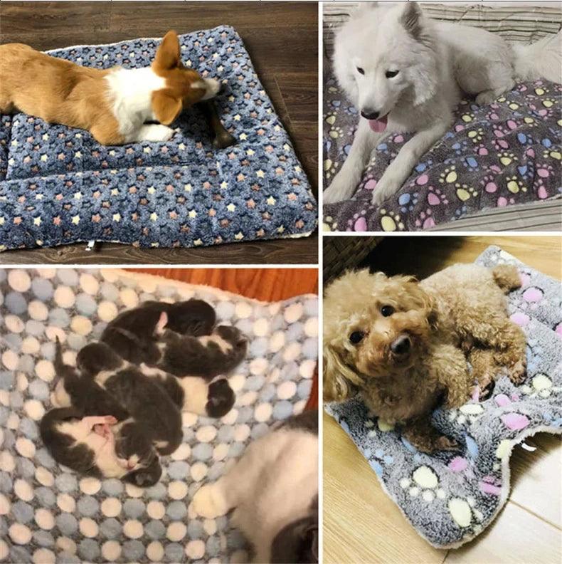 Soft Pet Bed Litter Mattress - pawpallet