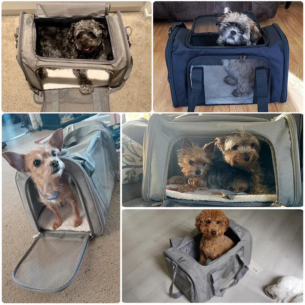 PawPort Soft-Sided Travel Carrier - pawpallet