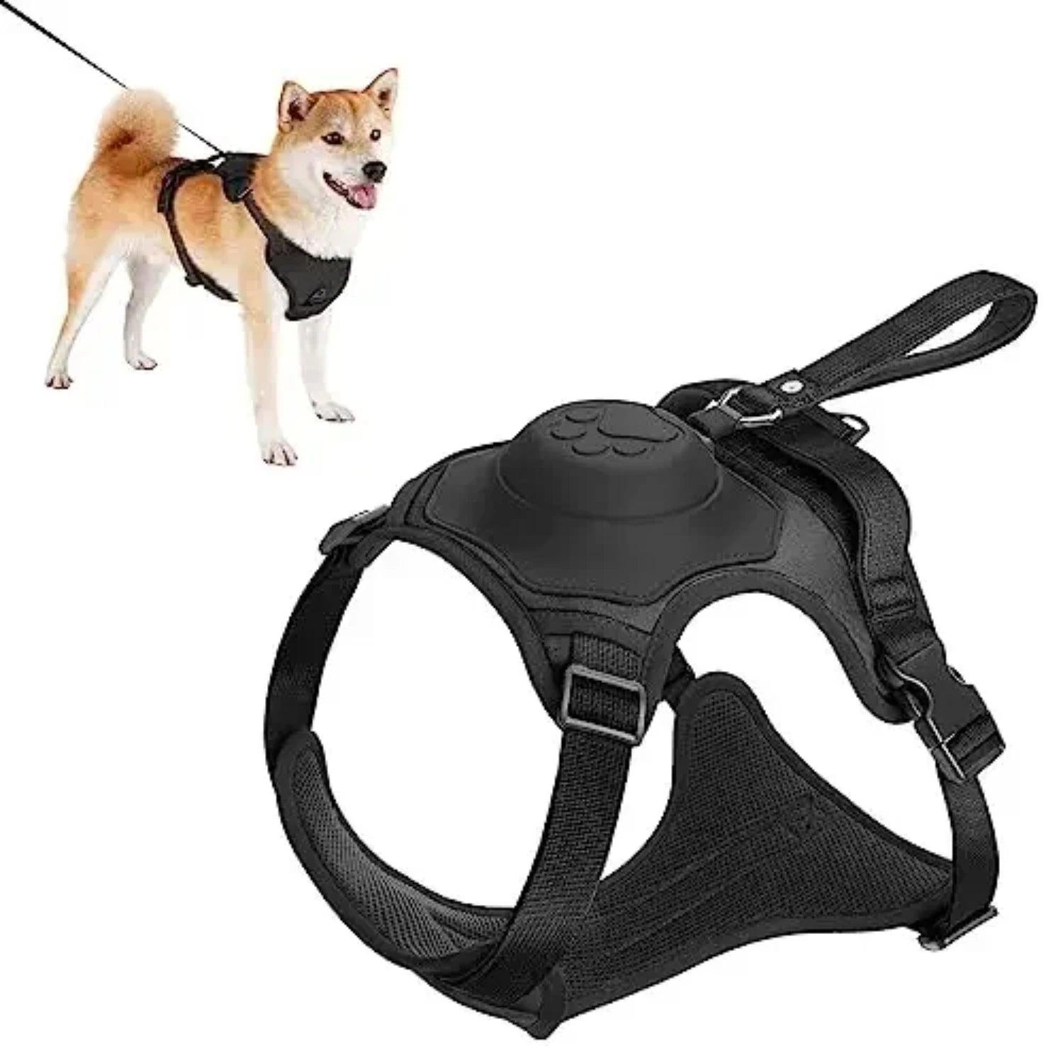 Anti-Burst Dog Harness Set - pawpallet