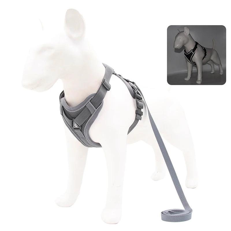 No-Pull Harness & Leash Set for Small Dogs - pawpallet