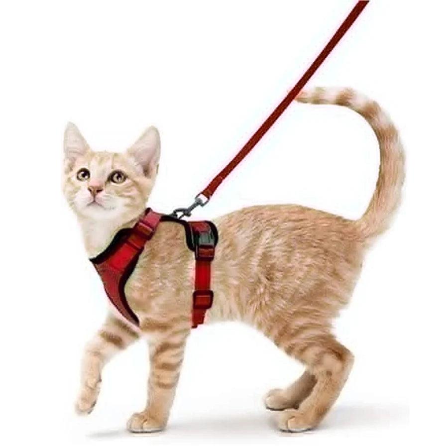 Cat Harness and Leash for Walking - pawpallet