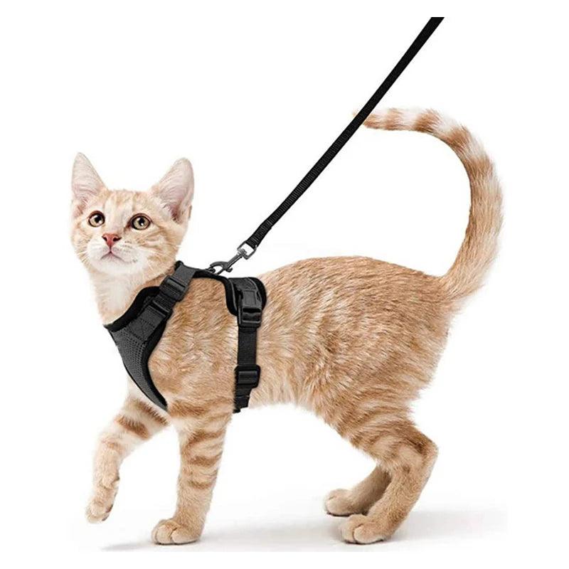 Cat Harness and Leash for Walking - pawpallet