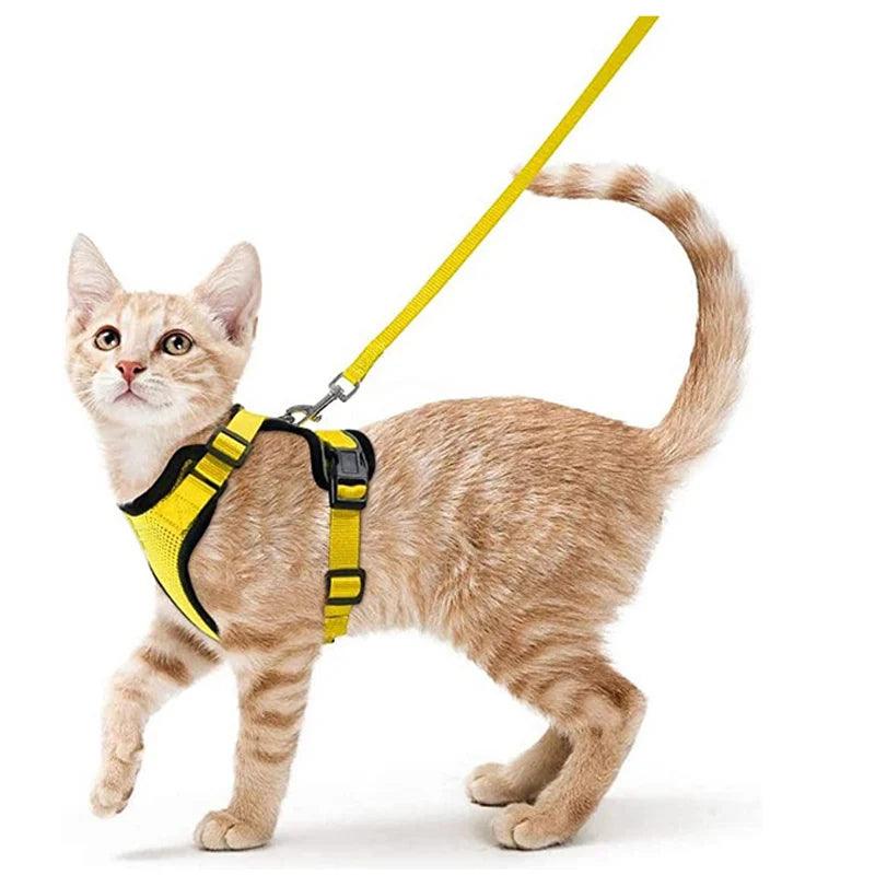 Cat Harness and Leash for Walking - pawpallet