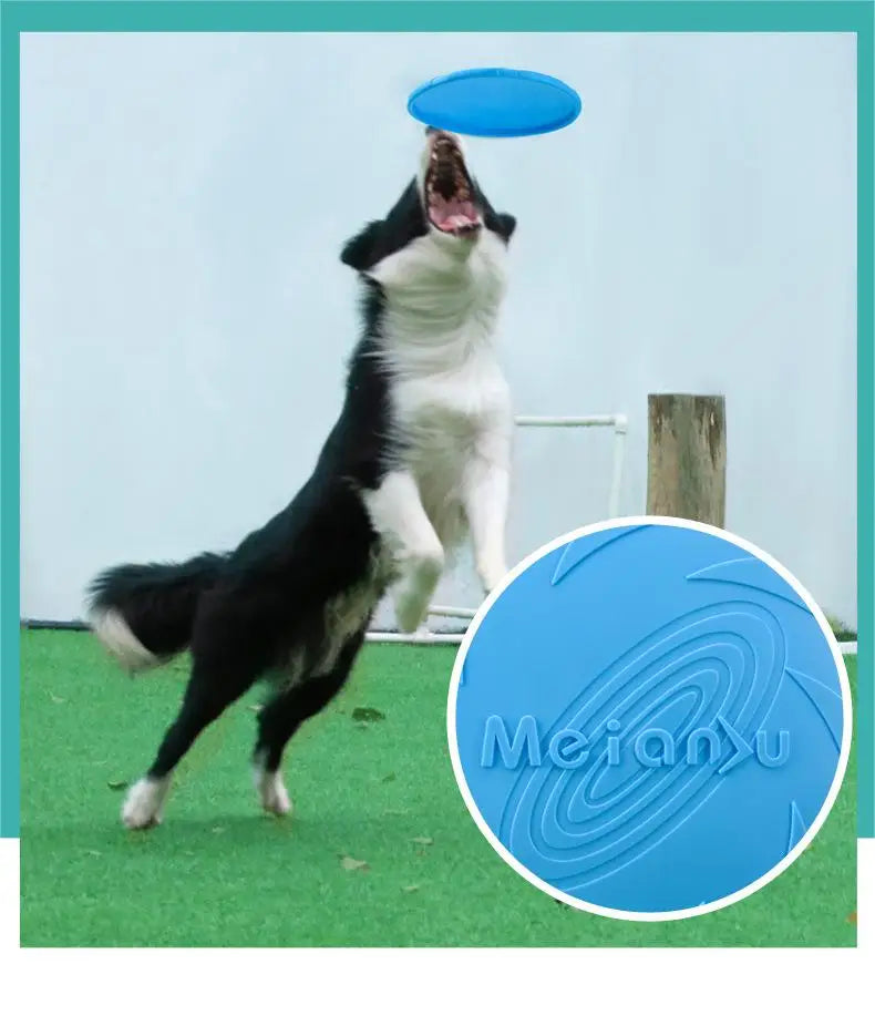 Sustainable Silicone Flying Disc for Dogs - pawpallet