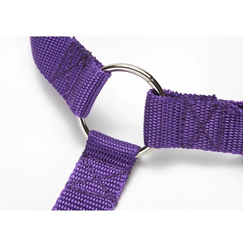 Adjustable Pet Safety Seat Belt & Leash for Dogs and Cats - pawpallet